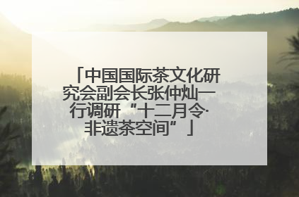 中国国际茶文化研究会副会长张仲灿一行调研“十二月令·非遗茶空间”