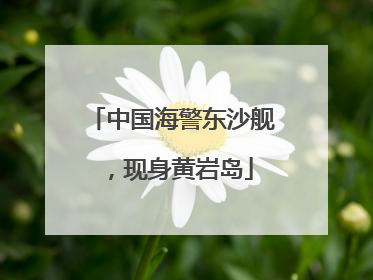中国海警东沙舰，现身黄岩岛