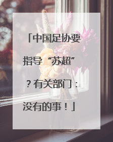 中国足协要指导“苏超”？有关部门：没有的事！