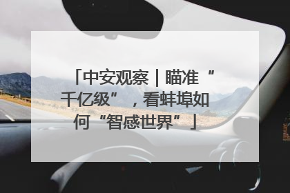 中安观察｜瞄准“千亿级”，看蚌埠如何“智感世界”