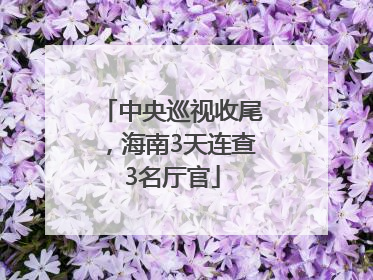 中央巡视收尾，海南3天连查3名厅官