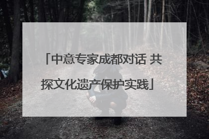 中意专家成都对话 共探文化遗产保护实践