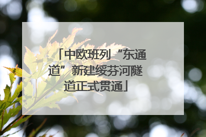 中欧班列“东通道”新建绥芬河隧道正式贯通