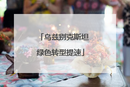 乌兹别克斯坦绿色转型提速