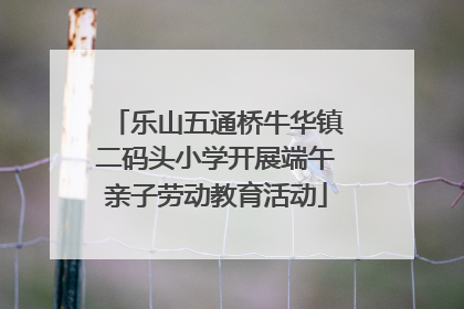 乐山五通桥牛华镇二码头小学开展端午亲子劳动教育活动
