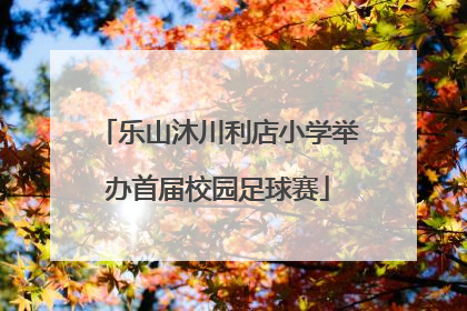 乐山沐川利店小学举办首届校园足球赛