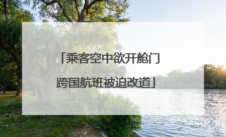 乘客空中欲开舱门 跨国航班被迫改道