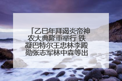 乙巳年拜谒炎帝神农大典隆重举行 铁凝巴特尔王忠林李殿勋张志军林中森等出席 孙伟主持