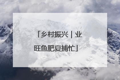 乡村振兴｜业旺鱼肥夏捕忙