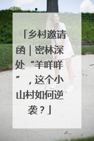 乡村邀请函｜密林深处“羊咩咩”，这个小山村如何逆袭？