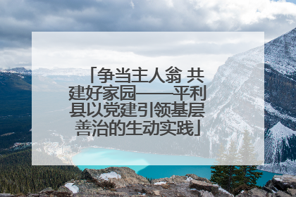 争当主人翁 共建好家园——平利县以党建引领基层善治的生动实践