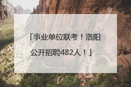 事业单位联考！洛阳公开招聘482人！