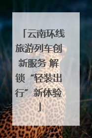 云南环线旅游列车创新服务 解锁“轻装出行”新体验