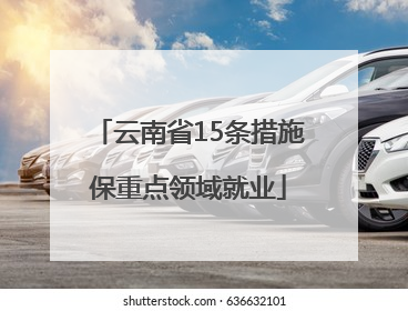 云南省15条措施保重点领域就业