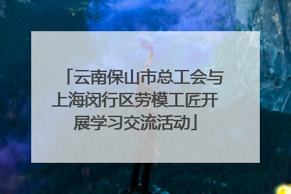 云南保山市总工会与上海闵行区劳模工匠开展学习交流活动