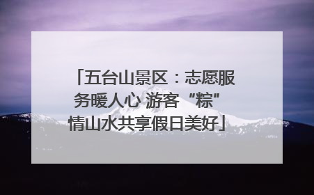 五台山景区：志愿服务暖人心 游客“粽”情山水共享假日美好
