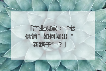 产业观察：“老供销”如何闯出“新路子”？