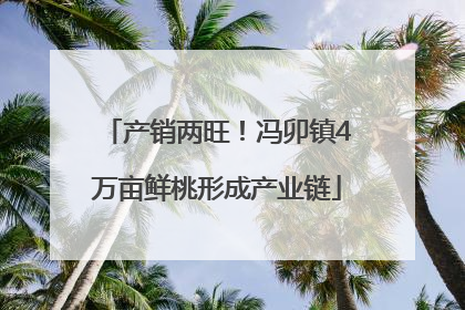 产销两旺！冯卯镇4万亩鲜桃形成产业链