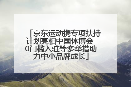 京东运动携专项扶持计划亮相中国体博会 0门槛入驻等多举措助力中小品牌成长