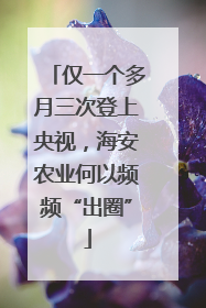 仅一个多月三次登上央视，海安农业何以频频“出圈”