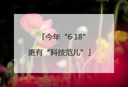 今年“6·18”更有“科技范儿”