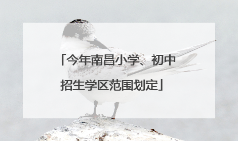今年南昌小学、初中招生学区范围划定