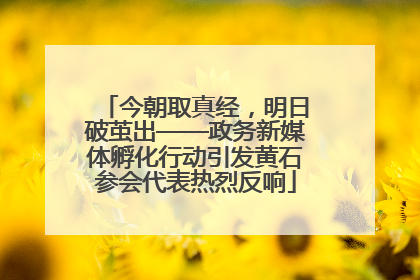 今朝取真经，明日破茧出——政务新媒体孵化行动引发黄石参会代表热烈反响