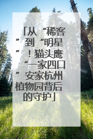 从“稀客”到“明星”！猫头鹰“一家四口”安家杭州植物园背后的守护