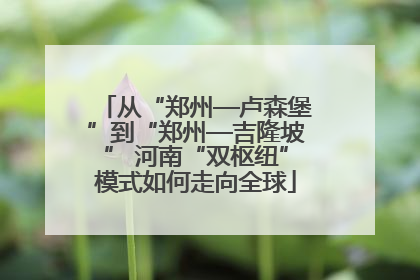 从“郑州—卢森堡”到“郑州—吉隆坡” 河南“双枢纽”模式如何走向全球