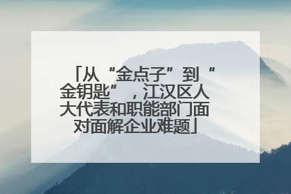 从“金点子”到“金钥匙”，江汉区人大代表和职能部门面对面解企业难题