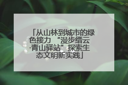 从山林到城市的绿色接力 “漫步缙云·青山驿站”探索生态文明新实践