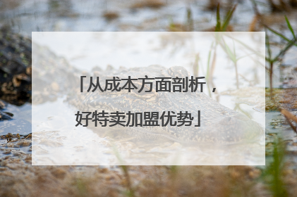 从成本方面剖析，好特卖加盟优势