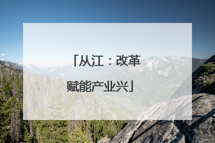 从江：改革赋能产业兴