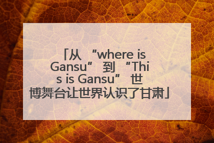 从 “where is Gansu” 到 “This is Gansu” 世博舞台让世界认识了甘肃
