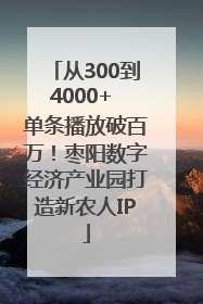 从300到4000+ 单条播放破百万！枣阳数字经济产业园打造新农人IP