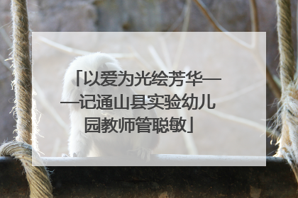 以爱为光绘芳华——记通山县实验幼儿园教师管聪敏