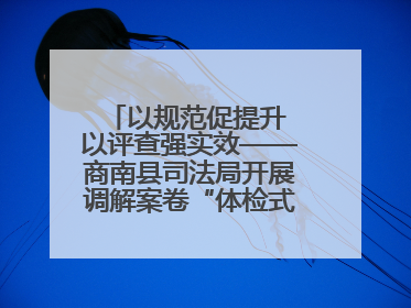 以规范促提升 以评查强实效——商南县司法局开展调解案卷“体检式”评查行动