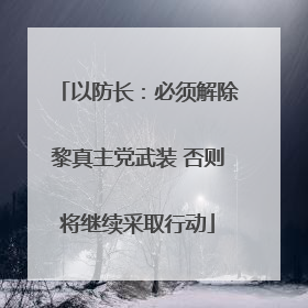 以防长：必须解除黎真主党武装 否则将继续采取行动