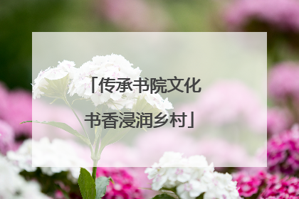 传承书院文化 书香浸润乡村