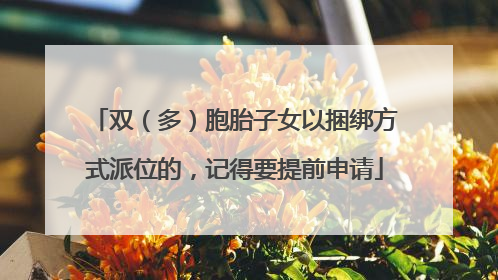 双（多）胞胎子女以捆绑方式派位的，记得要提前申请