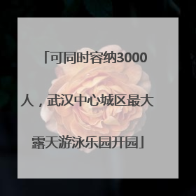 可同时容纳3000人，武汉中心城区最大露天游泳乐园开园