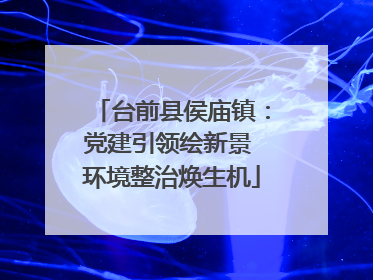 台前县侯庙镇：党建引领绘新景 环境整治焕生机