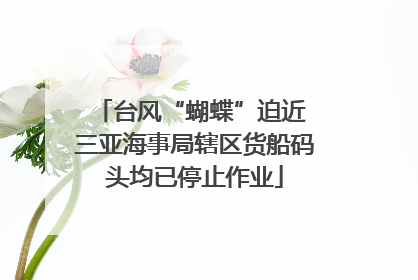 台风“蝴蝶”迫近 三亚海事局辖区货船码头均已停止作业