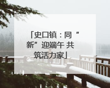史口镇：同“新”迎端午 共筑活力家