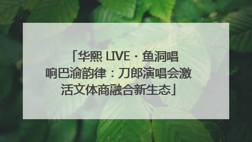 华熙 LIVE・鱼洞唱响巴渝韵律：刀郎演唱会激活文体商融合新生态
