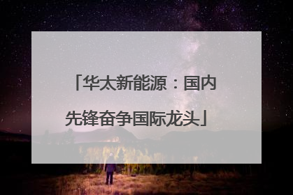 华太新能源：国内先锋奋争国际龙头