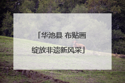 华池县 布贴画绽放非遗新风采