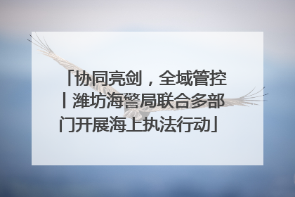 协同亮剑，全域管控丨潍坊海警局联合多部门开展海上执法行动