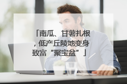 南瓜、甘薯扎根，低产丘陵地变身致富“聚宝盆”