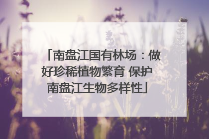 南盘江国有林场：做好珍稀植物繁育 保护南盘江生物多样性